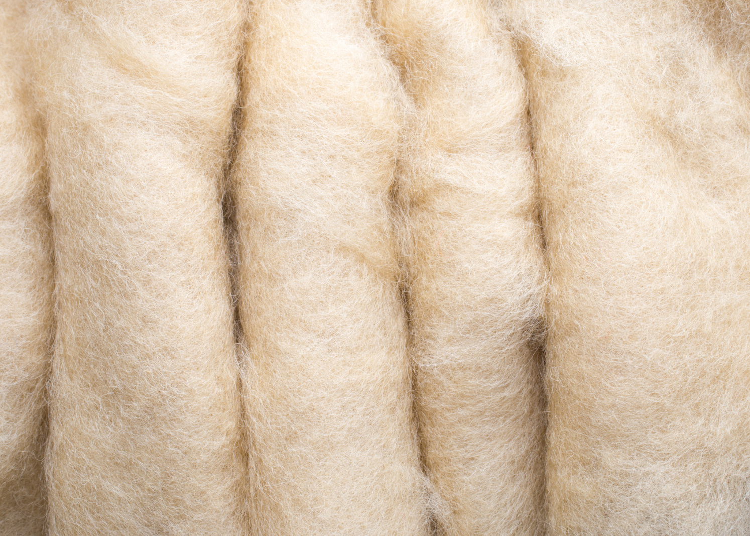 Non-toxic Fabric Guide