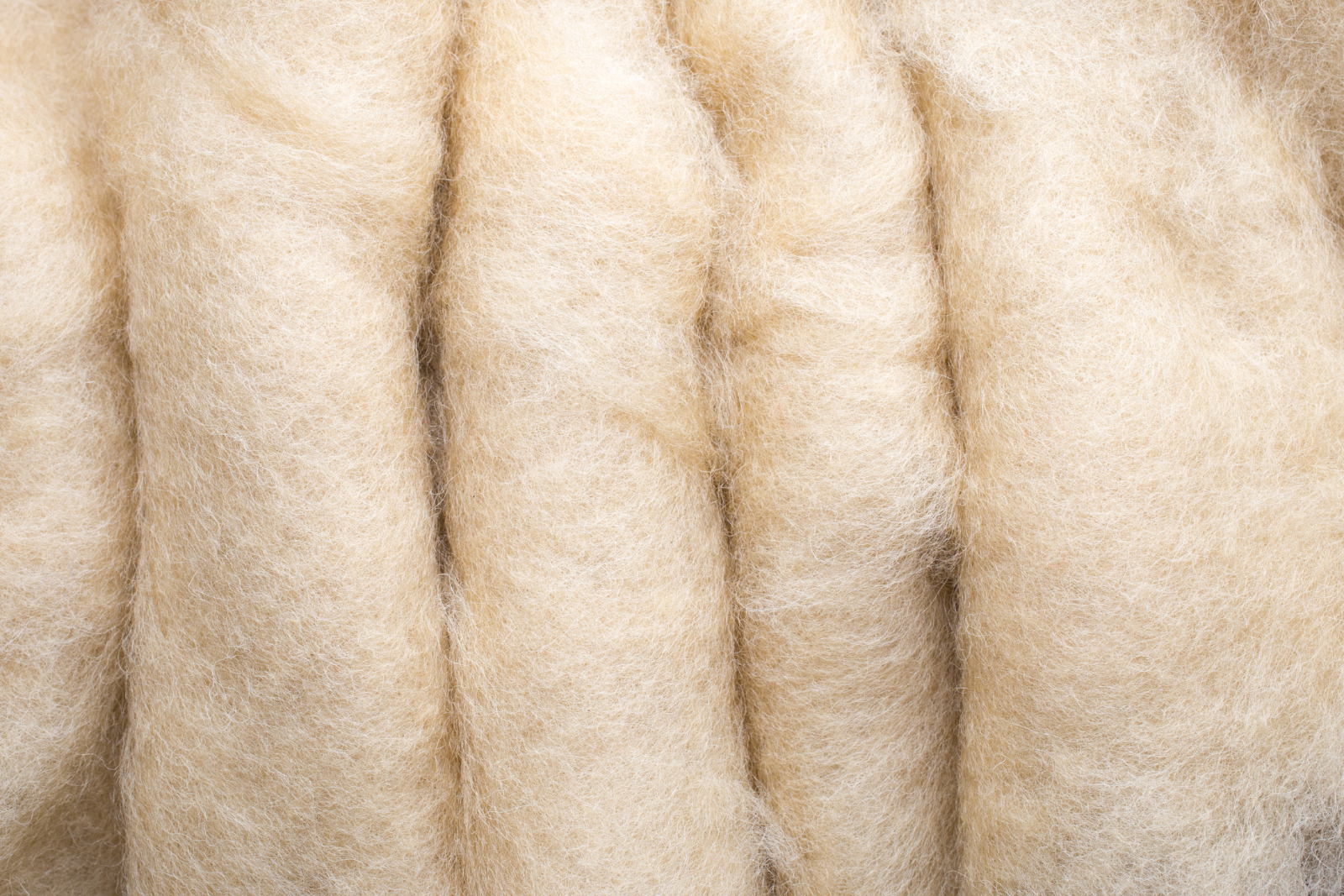 Non-toxic Fabric Guide